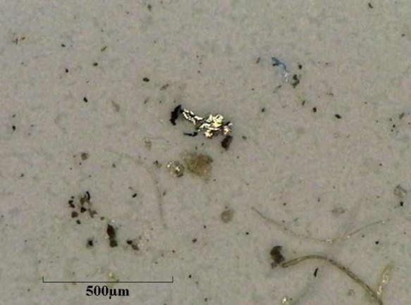 清洁度测试 >> 测试项目案例