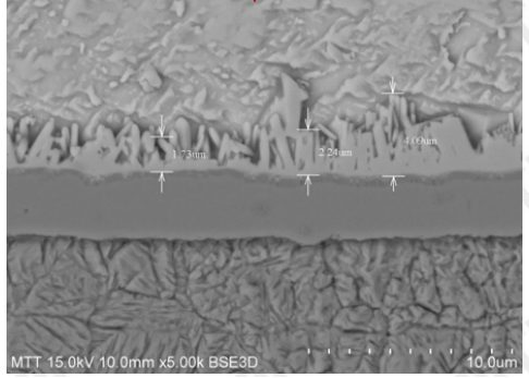 扫描电子显微镜（SEM）引领材料人探秘微观世界！ >> 测试项目案例
